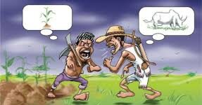 Farmer-Herder Conflicts: The Dire Implications for Productivity in Nigeria