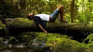 Achieving a Balanced Work‑Life